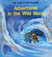 Adventures in the Wild Wood (Kenneth Grahame&#039;s the Wind in the Willows, Vol. 2)
