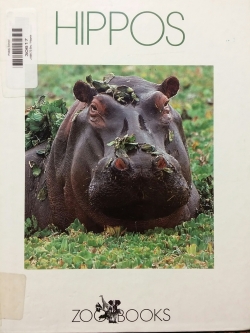 zoobooks hippos