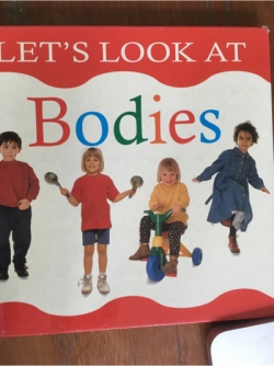 Our Bodies (The let&#039;s look series)