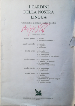 I cardini della nostra lingua : grammatica e sintassi a colpo d'occhio