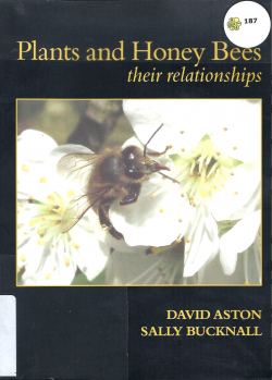 Plants and Honey Bees - An Introduction to Their Relationship