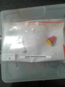 Giant Snakes & Ladders