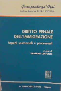 Diritto penale dell'immigrazione