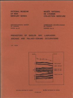 Prehistory of Saglek Bay, Labrador: Archaic and Palaeo-Eskimo Occupations