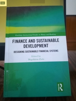 FINANCIAL AND SUSTAINABLE DEVELOPMENT, DESIGNING SUSTAINABLE FINANCIAL SYSTEMS