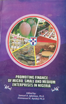 PROMOTING FINANCE OF MICRO, SMALL AND MEDIUM ENTERPRISES IN NIGERIA