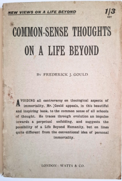 Common-Sense Thoughts on a Life Beyond