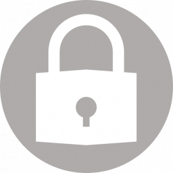 Universal design for learning in academic libraries: theory into practice: edited By Danielle Skaggs and Rachel M. Mcmullin, Chicago, Association of College and Research Libraries (ACRL), 2024, 294 pp., $243.75, ISBN 979-8-89255-549-4